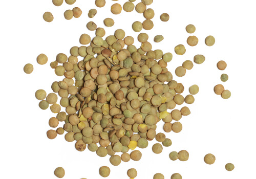 Yeşil Mercimek - UHL Organik | UHL Trade
